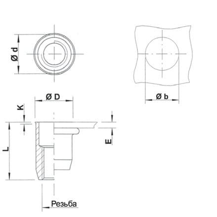 RN6002_draft